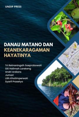 danau matano