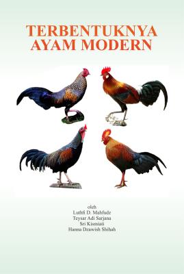 Ayam Modern
